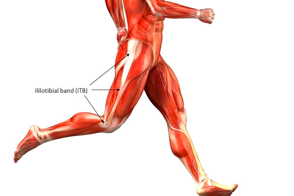 Diagram showing anatomy of iliotibial band (ITB)