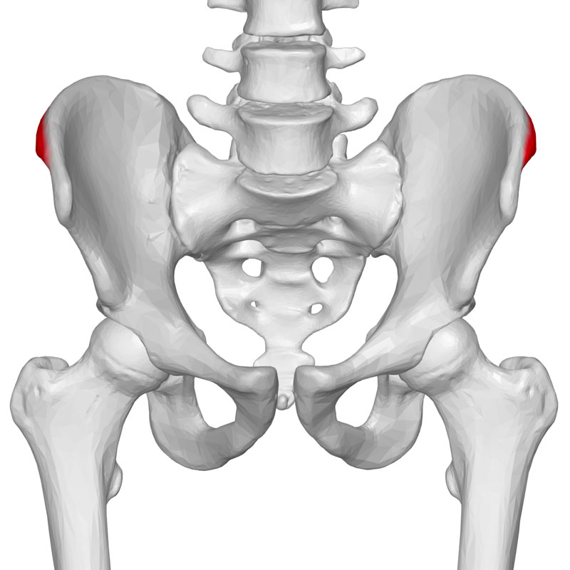 ITB does not usually cause hip pain except in a rare form of pain above the hip